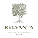 02.1_Selvanta_Logotipo (1)